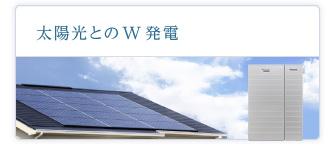 太陽光とのw発電